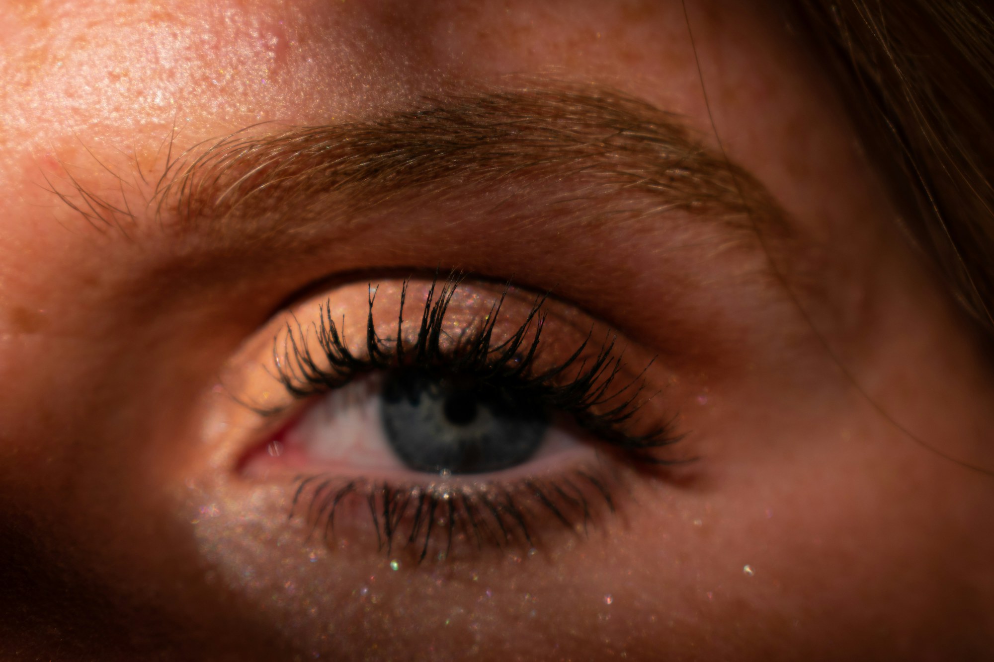 LVL lash lifts